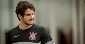pato